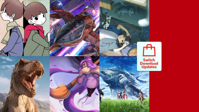 Nintendo Download Updates (W29) Bagged