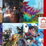 Nintendo Download Updates (W30) Wig Balk