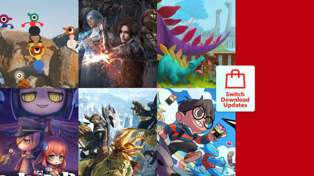 Nintendo Download Updates (W30) Wig Balk